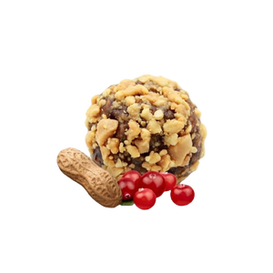 Energy-balls cacahuète-cramberry sachet pocket x2 - 30g