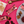 Load image into Gallery viewer, Peanut butter jelly protein bar, vegan &amp; gluten free - 49g
